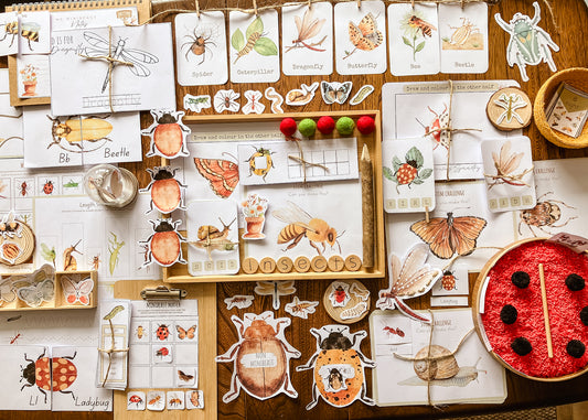Mini Beast Activities - (insect) home education morning basket PLR