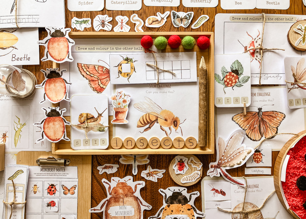 Mini Beast Activities - (insect) home education morning basket PLR