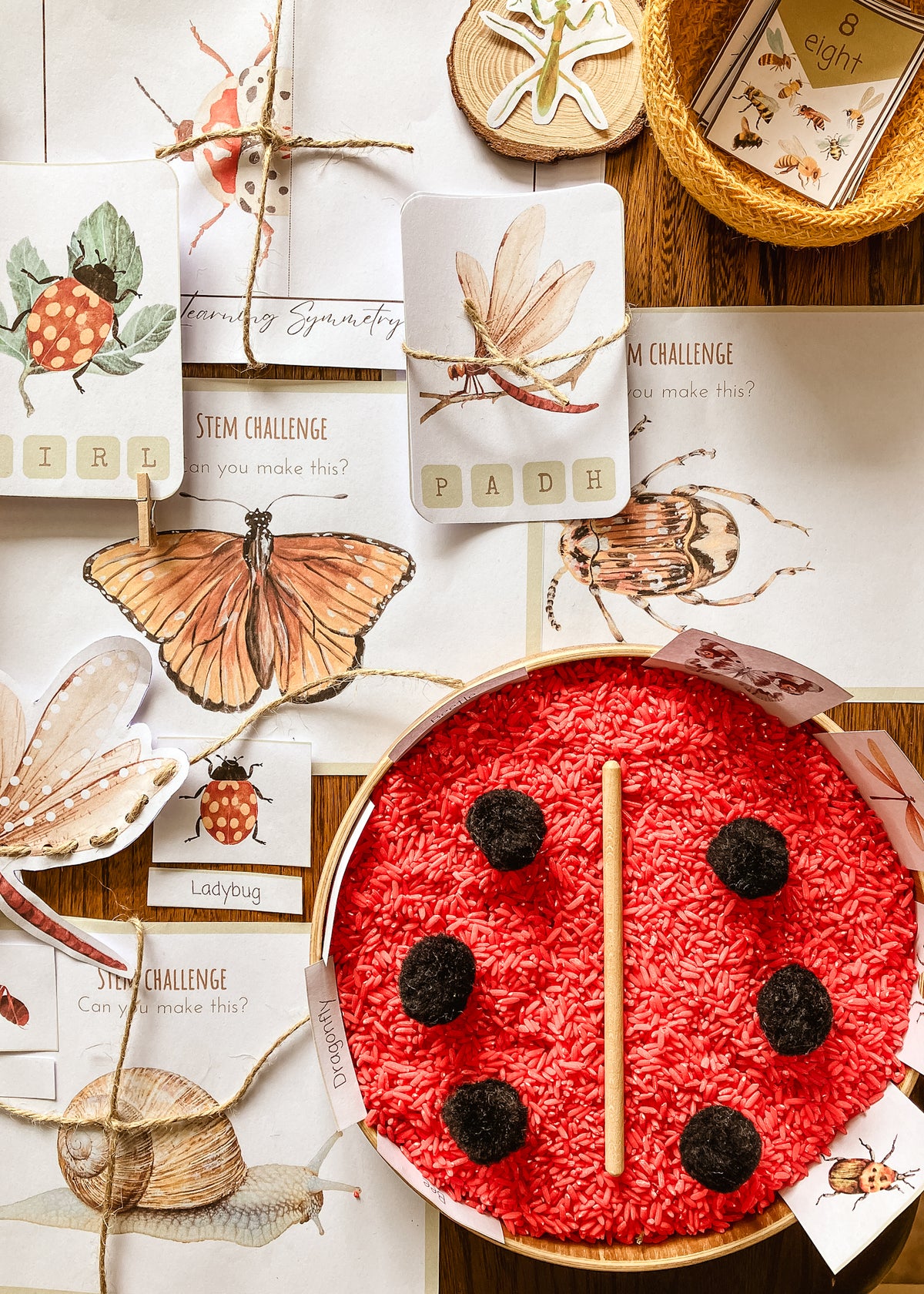 Mini Beast Activities - (insect) home education morning basket PLR