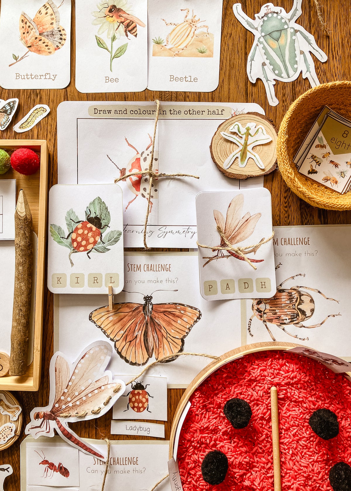 Mini Beast Activities - (insect) home education morning basket PLR