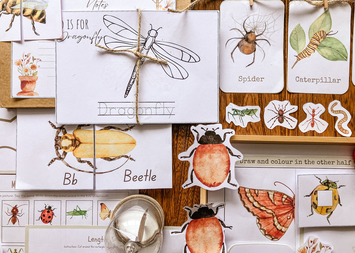 Mini Beast Activities - (insect) home education morning basket PLR