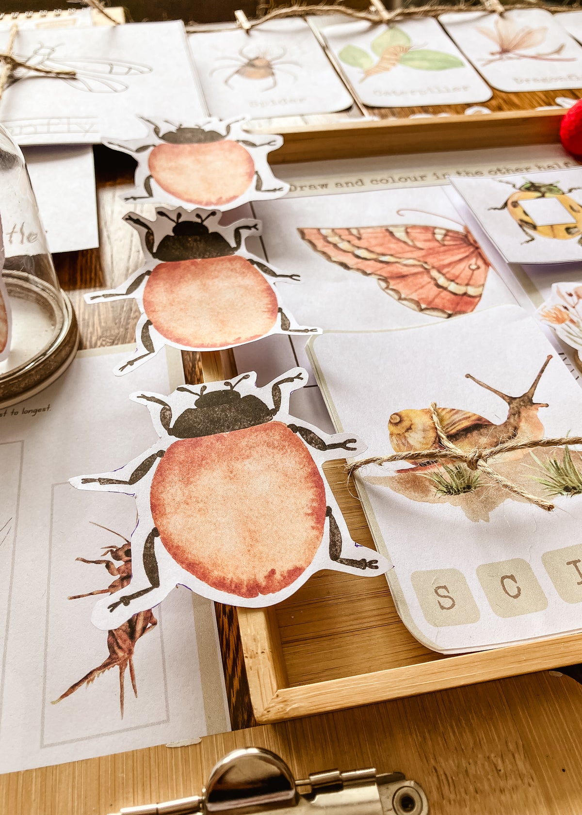 Mini Beast Activities - (insect) home education morning basket PLR