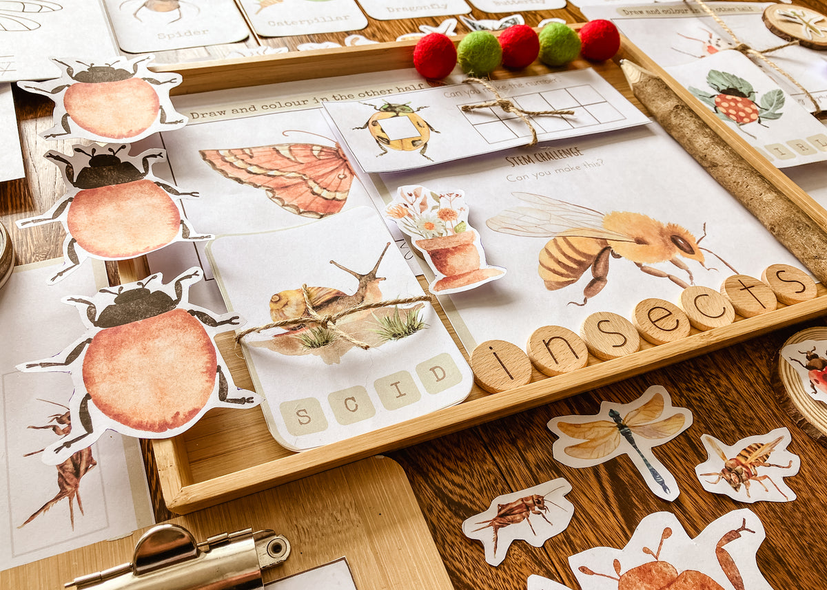 Mini Beast Activities - (insect) home education morning basket PLR
