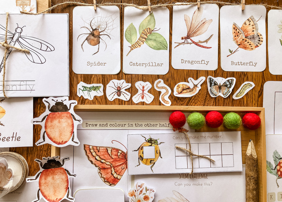 Mini Beast Activities - (insect) home education morning basket PLR